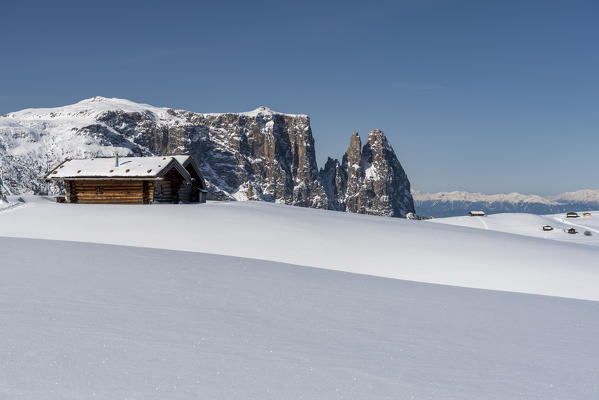 Alpe di Siusi/Seiser Alm, Dolomites, South Tyrol, Italy. Winter landscape on the Alpe di Siusi/Seiser Alm with the peaks of Sciliar / Schlern, Euringer and Santner