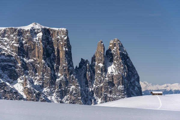 Alpe di Siusi/Seiser Alm, Dolomites, South Tyrol, Italy. Winter landscape on the Alpe di Siusi/Seiser Alm with the peaks of Sciliar / Schlern, Euringer and Santner