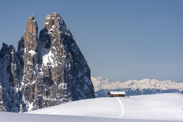 Alpe di Siusi/Seiser Alm, Dolomites, South Tyrol, Italy. Winter landscape on the Alpe di Siusi/Seiser Alm with the peaks of Euringer and Santner