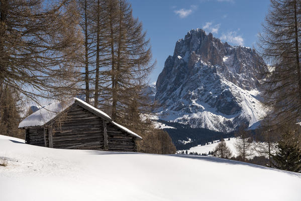 Alpe di Siusi/Seiser Alm, Dolomites, South Tyrol, Italy