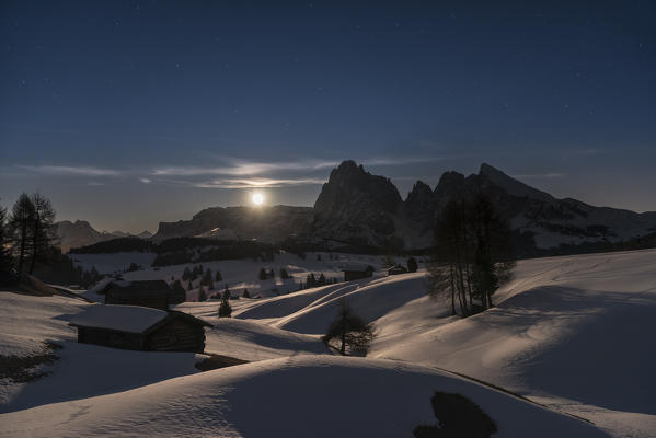 Alpe di Siusi/Seiser Alm, Dolomites, South Tyrol, Italy. Full moon night on the Alpe di Siusi / Seiser Alm with the peaks of Sassolungo / Langkofel and Sassopiatto / Plattkofel