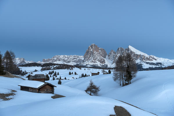 Alpe di Siusi/Seiser Alm, Dolomites, South Tyrol, Italy. Blue  hour on the Alpe di Siusi / Seiser Alm with the peaks of Sassolungo / Langkofel and Sassopiatto / Plattkofel