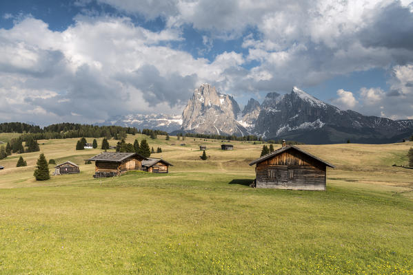 Alpe di Siusi/Seiser Alm, Dolomites, South Tyrol, Italy. View from the Alpe di Siusi to the peaks of Sassolungo/Langkofel and Sassopiatto / Plattkofel