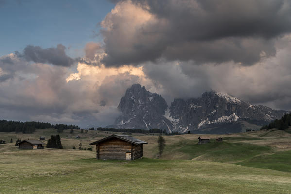 Alpe di Siusi/Seiser Alm, Dolomites, South Tyrol, Italy. View from the Alpe di Siusi to the peaks of Sassolungo/Langkofel and Sassopiatto / Plattkofel