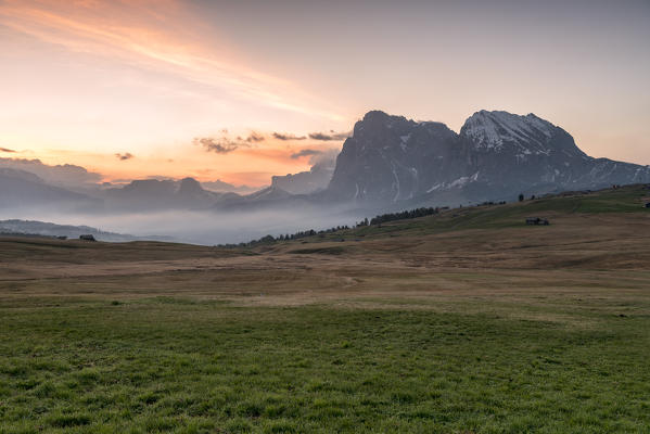 Alpe di Siusi/Seiser Alm, Dolomites, South Tyrol, Italy. View from the Alpe di Siusi to the peaks of Sassolungo/Langkofel and Sassopiatto / Plattkofel