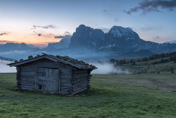 Alpe di Siusi/Seiser Alm, Dolomites, South Tyrol, Italy. Dawn on the Alpe di Siusi/Seiser Alm with the peaks of Sassolungo / Langkofel and Sassopiatto / Plattkofel