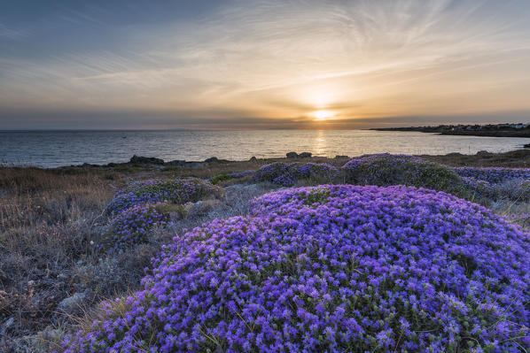 Capilungo, Alliste, province of Lecce, Salento, Apulia, Italy. Sunset in Capilungo