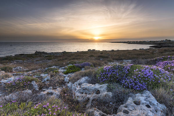 Capilungo, Alliste, province of Lecce, Salento, Apulia, Italy. Sunset in Capilungo