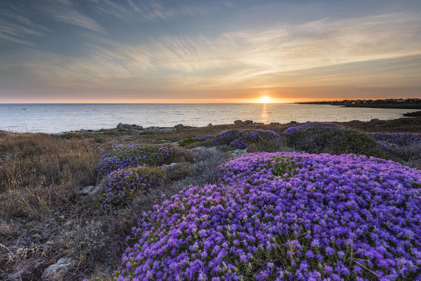 Capilungo, Alliste, province of Lecce, Salento, Apulia, Italy. Sunset in Capilungo