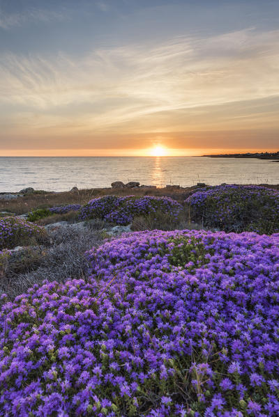 Capilungo, Alliste, province of Lecce, Salento, Apulia, Italy. Sunset in Capilungo