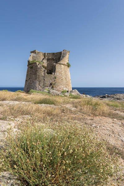 Santa Cesarea Terme, Porto Miggiano, province of Lecce, Salento, Apulia, Italy. The Tower Miggiano