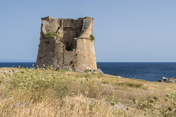 Santa Cesarea Terme, Porto Miggiano, Salento, Apulia, Italy. The Tower Miggiano