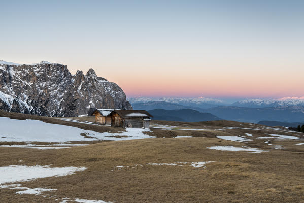 Alpe di Siusi/Seiser Alm, Dolomites, South Tyrol, Italy. Dawn on plateau of Bullaccia/Puflatsch. In the background the peaks of Sciliar