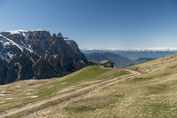 Alpe di Siusi/Seiser Alm, Dolomites, South Tyrol, Italy. 