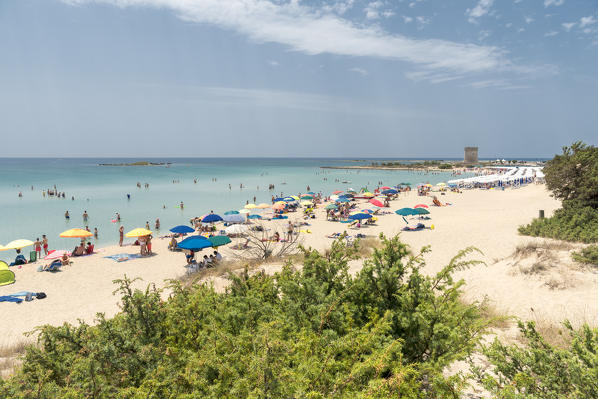 Torre Lapillo, Porto Cesareo, province of Lecce, Salento, Apulia, Italy. The beach of the dunes