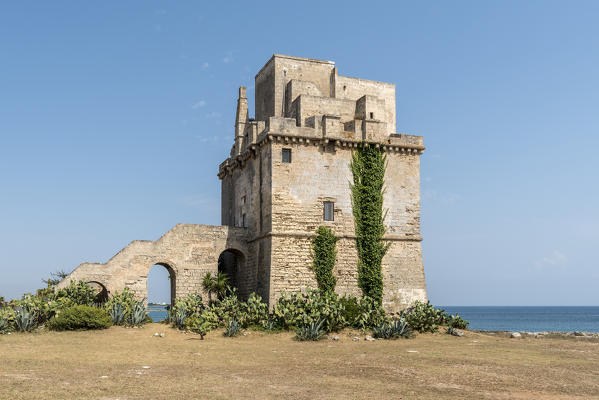 Torre Colimena, Manduria, province of Taranto, Salento, Apulia, Italy.