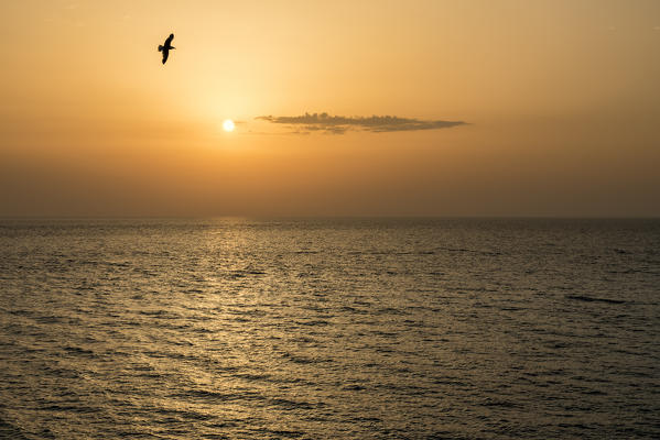 Gallipoli, province of Lecce, Salento, Apulia, Italy