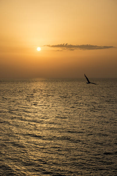 Gallipoli, province of Lecce, Salento, Apulia, Italy