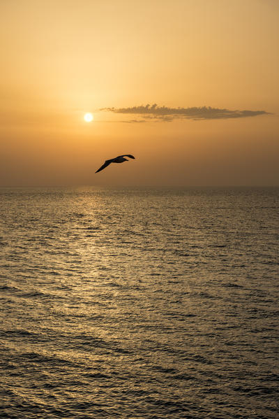 Gallipoli, province of Lecce, Salento, Apulia, Italy