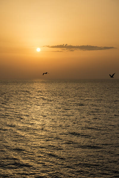 Gallipoli, province of Lecce, Salento, Apulia, Italy