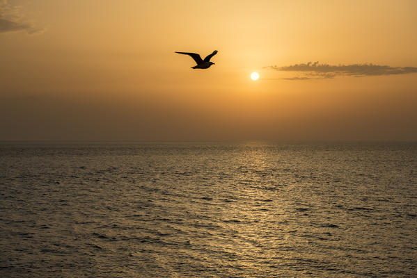 Gallipoli, province of Lecce, Salento, Apulia, Italy