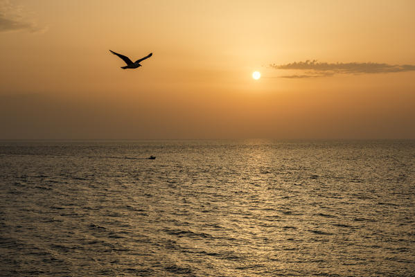 Gallipoli, province of Lecce, Salento, Apulia, Italy