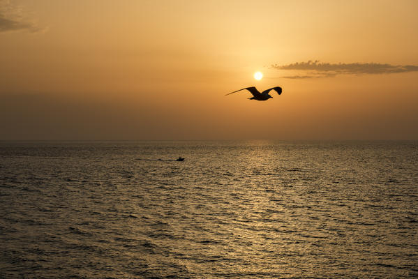 Gallipoli, province of Lecce, Salento, Apulia, Italy