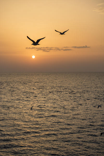 Gallipoli, province of Lecce, Salento, Apulia, Italy