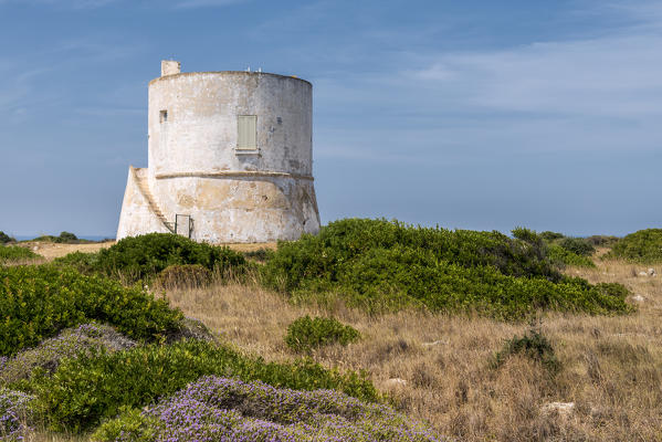 Punta Pizzo, Gallipoli, province of Lecce, Salento, Apulia, Italy. The tower of Punta Pizzo