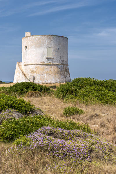 Punta Pizzo, Gallipoli, province of Lecce, Salento, Apulia, Italy. The tower of Punta Pizzo