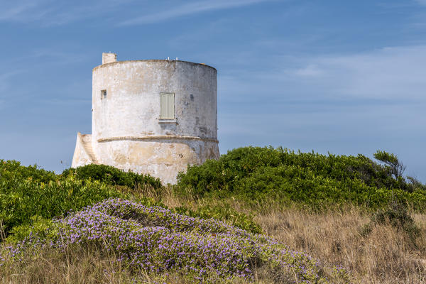 Punta Pizzo, Gallipoli, province of Lecce, Salento, Apulia, Italy. The tower of Punta Pizzo