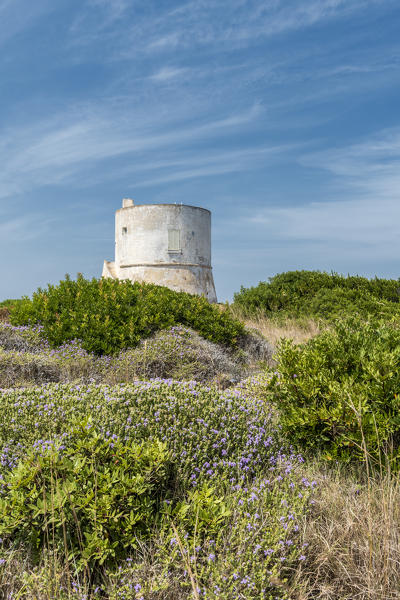 Punta Pizzo, Gallipoli, province of Lecce, Salento, Apulia, Italy. The tower of Punta Pizzo