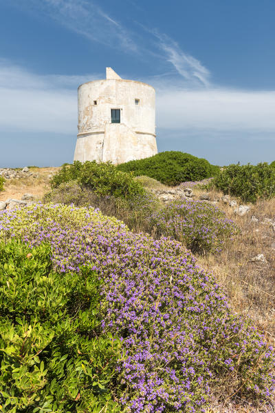 Punta Pizzo, Gallipoli, province of Lecce, Salento, Apulia, Italy. The tower of Punta Pizzo