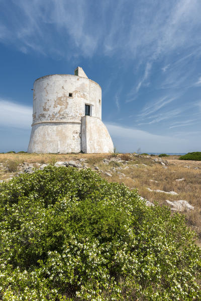 Punta Pizzo, Gallipoli, province of Lecce, Salento, Apulia, Italy. The tower of Punta Pizzo