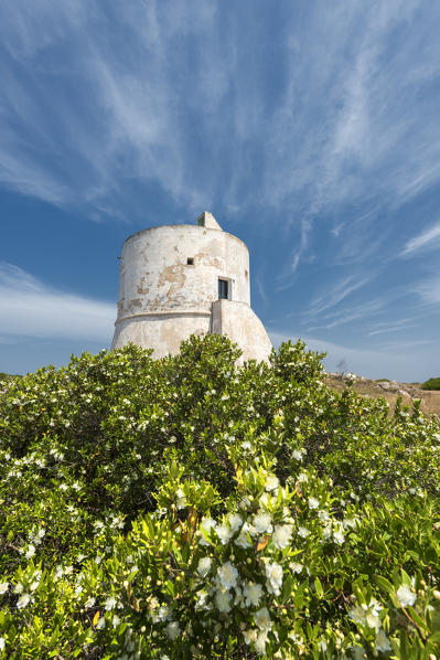 Punta Pizzo, Gallipoli, province of Lecce, Salento, Apulia, Italy. The tower of Punta Pizzo