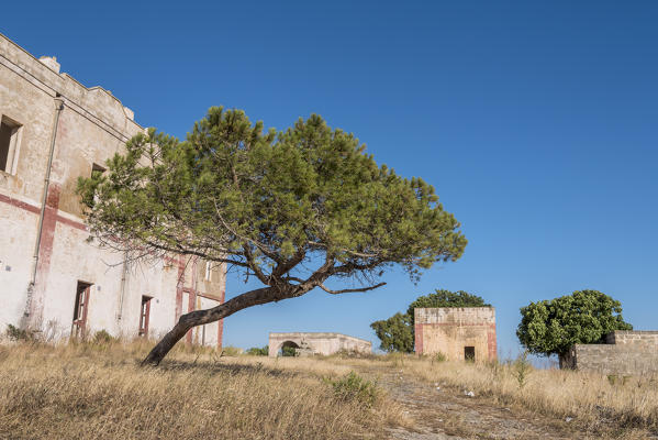 Torre San Giovanni, province of Lecce, Salento, Apulia, Italy