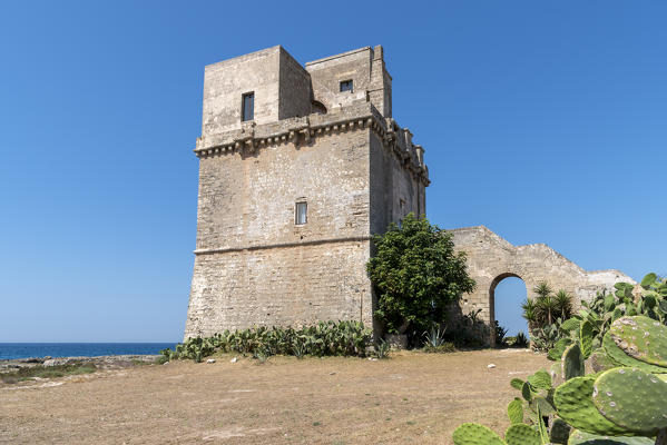 Torre Colimena, Manduria, province of Taranto, Salento, Apulia, Italy.