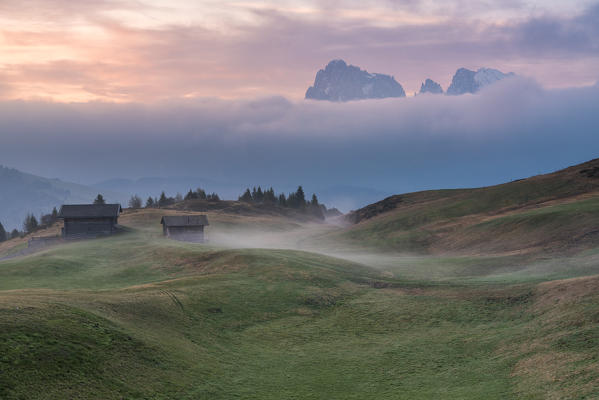 Bullaccia/Puflatsch, Alpe di Siusi/Seiser Alm, Dolomites, South Tyrol, Italy.