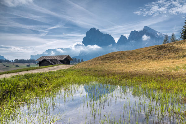 Alpe di Siusi/Seiser Alm, Dolomites, South Tyrol, Italy. 