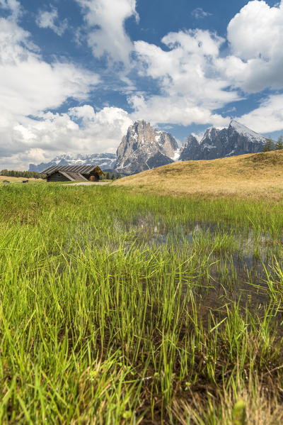 Alpe di Siusi/Seiser Alm, Dolomites, South Tyrol, Italy. 