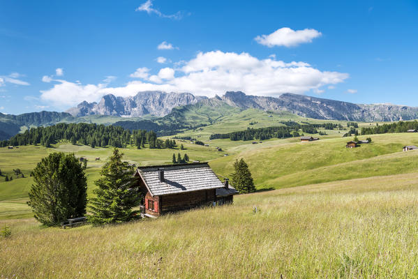 Alpe di Siusi/Seiser Alm, Dolomites, South Tyrol, Italy. 