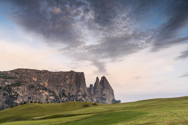 Alpe di Siusi/Seiser Alm, Dolomites, South Tyrol, Italy. 