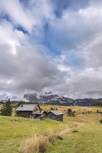 Alpe di Siusi/Seiser Alm, Dolomites, South Tyrol, Italy. 