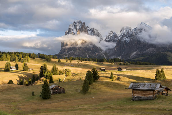 Alpe di Siusi/Seiser Alm, Dolomites, South Tyrol, Italy. Sunset on the Alpe di Siusi/Seiser Alm