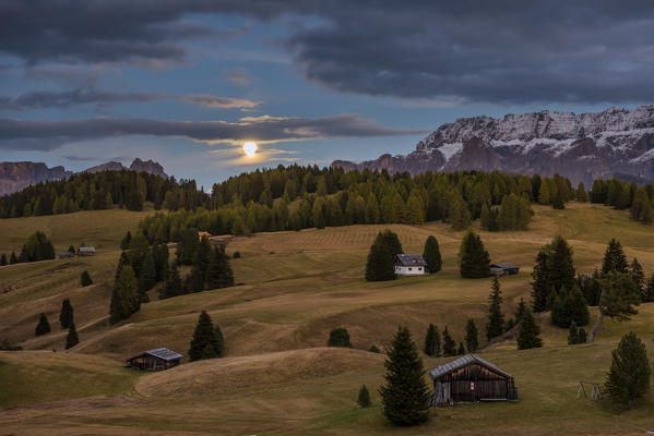 Alpe di Siusi/Seiser Alm, Dolomites, South Tyrol, Italy. 