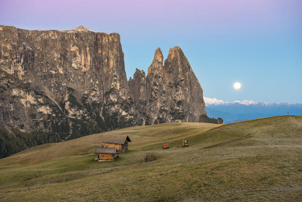 Alpe di Siusi/Seiser Alm, Dolomites, South Tyrol, Italy. 