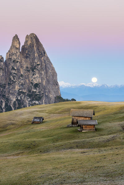 Alpe di Siusi/Seiser Alm, Dolomites, South Tyrol, Italy. 