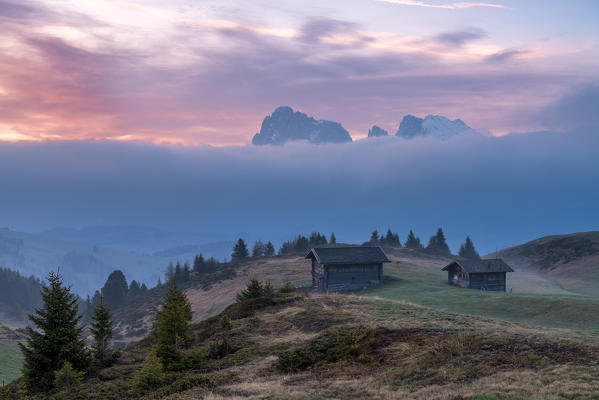 Bullaccia/Puflatsch, Alpe di Siusi/Seiser Alm, Dolomites, South Tyrol, Italy.