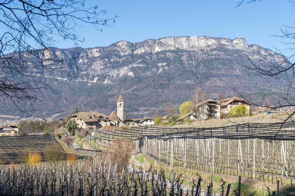 Caldaro/Kaltern, Bolzano province, South Tyrol, Italy. The small village of Monticolo/Montiggl