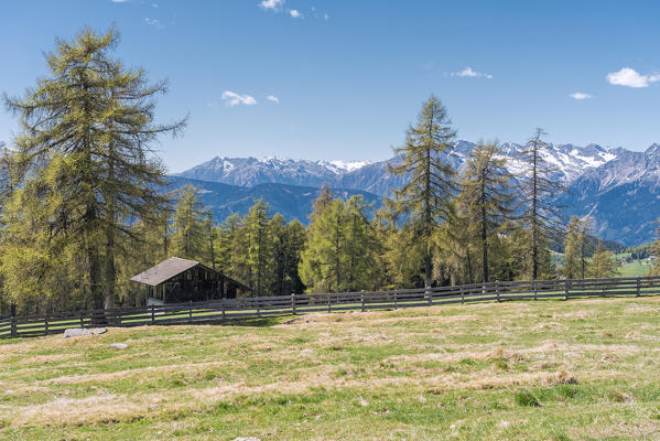 Meltina/Mölten, Bolzano province, South Tyrol, Italy.